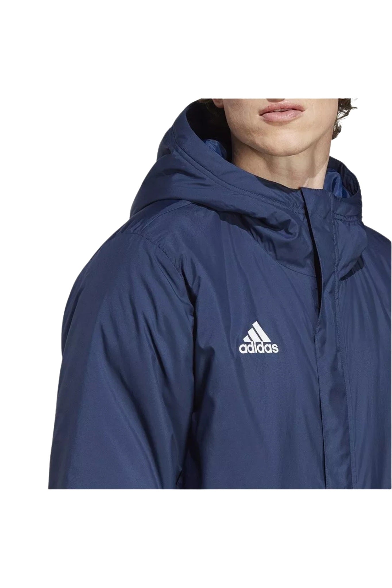 Parka adidas Entrada Stadium Bleu 2024